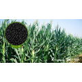 X-Humate High Quality Plant Growth Regulator 70% Potassium Humate Granules